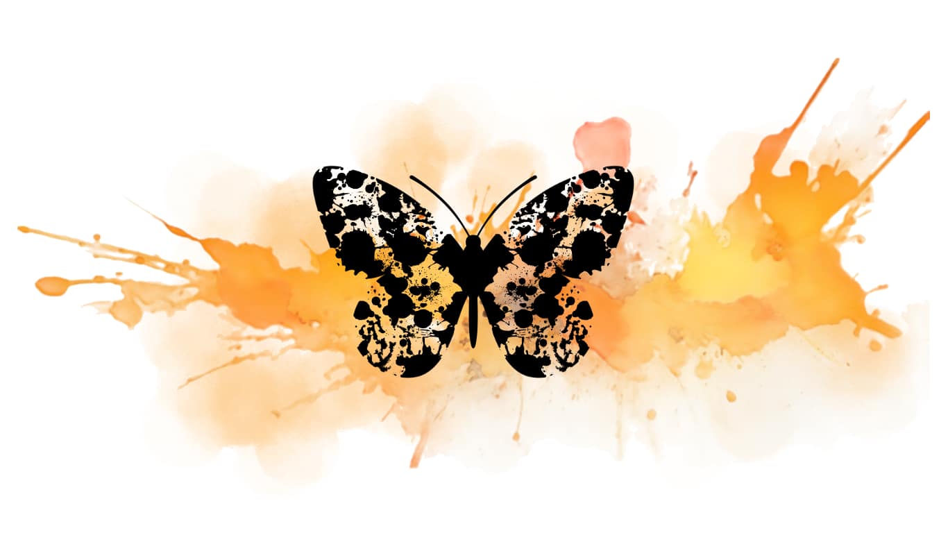 Kukoon Bottom Butterfly Kukoon Bottom Butterfly